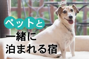 ペットと一緒に泊まれる宿_候補1